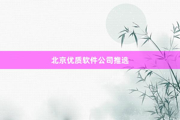 北京优质软件公司推选