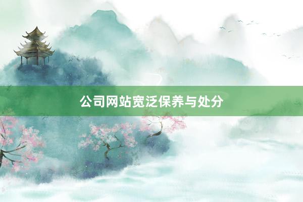 公司网站宽泛保养与处分