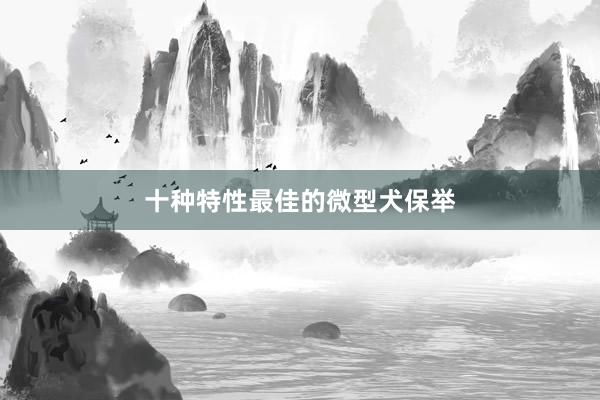 十种特性最佳的微型犬保举