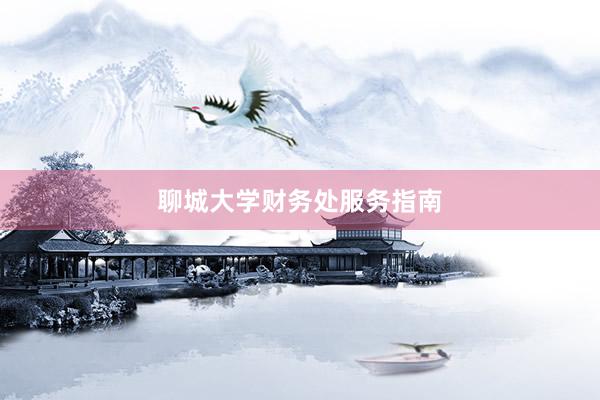 聊城大学财务处服务指南